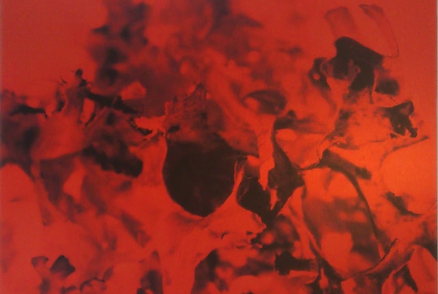 Romana Egartner, Lichenes, 2012, aluminium, 125 x 70 x 2,5 cm
