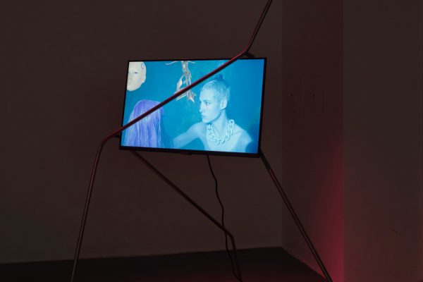 BOYNCIANA, Johanna Bruckner, installation view, das weisse haus, 2022, Image: Lea Sonderegger