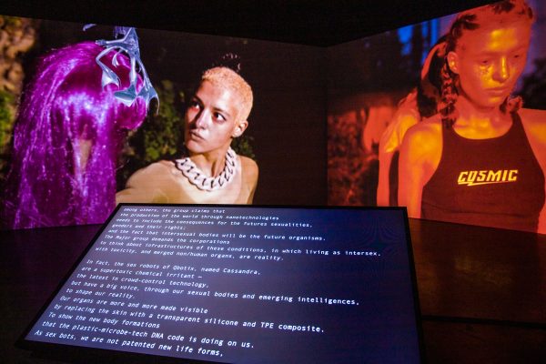 Molecular Sex, HD/4K video installation, installation view, Digital Arts Festival Taipeh, 2020