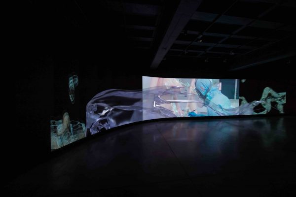 Molecular Sex, HD/4K video installation, 2020, installation view, Hyundai Studios Beijing